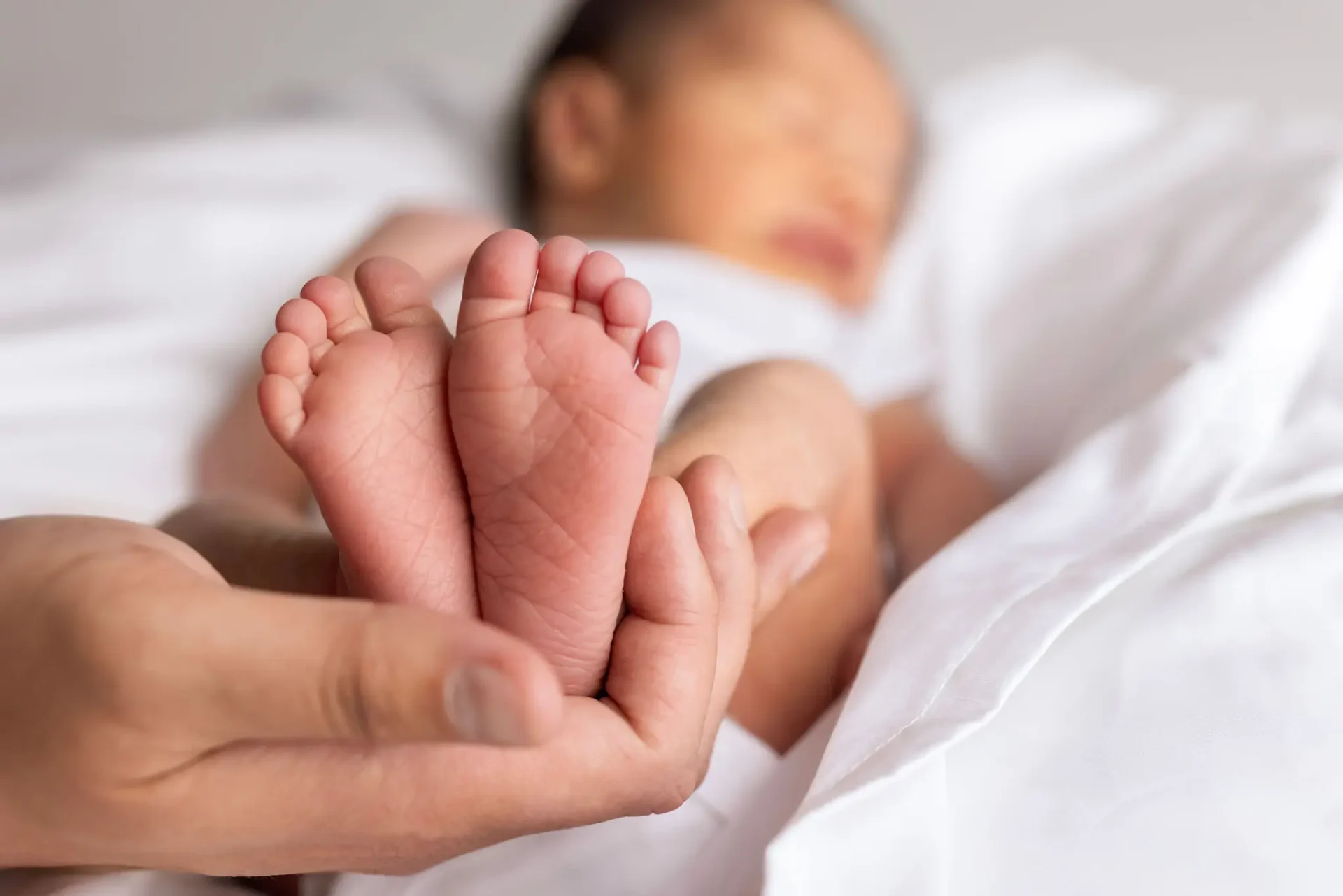 44712141-42c6-4650-aeb0-29c8e19d39b3